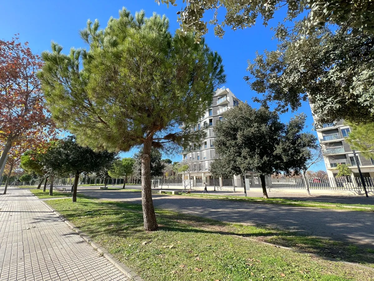 Viale alberato vicino agli appartamenti a La Salera